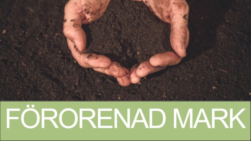 Förorenad mark