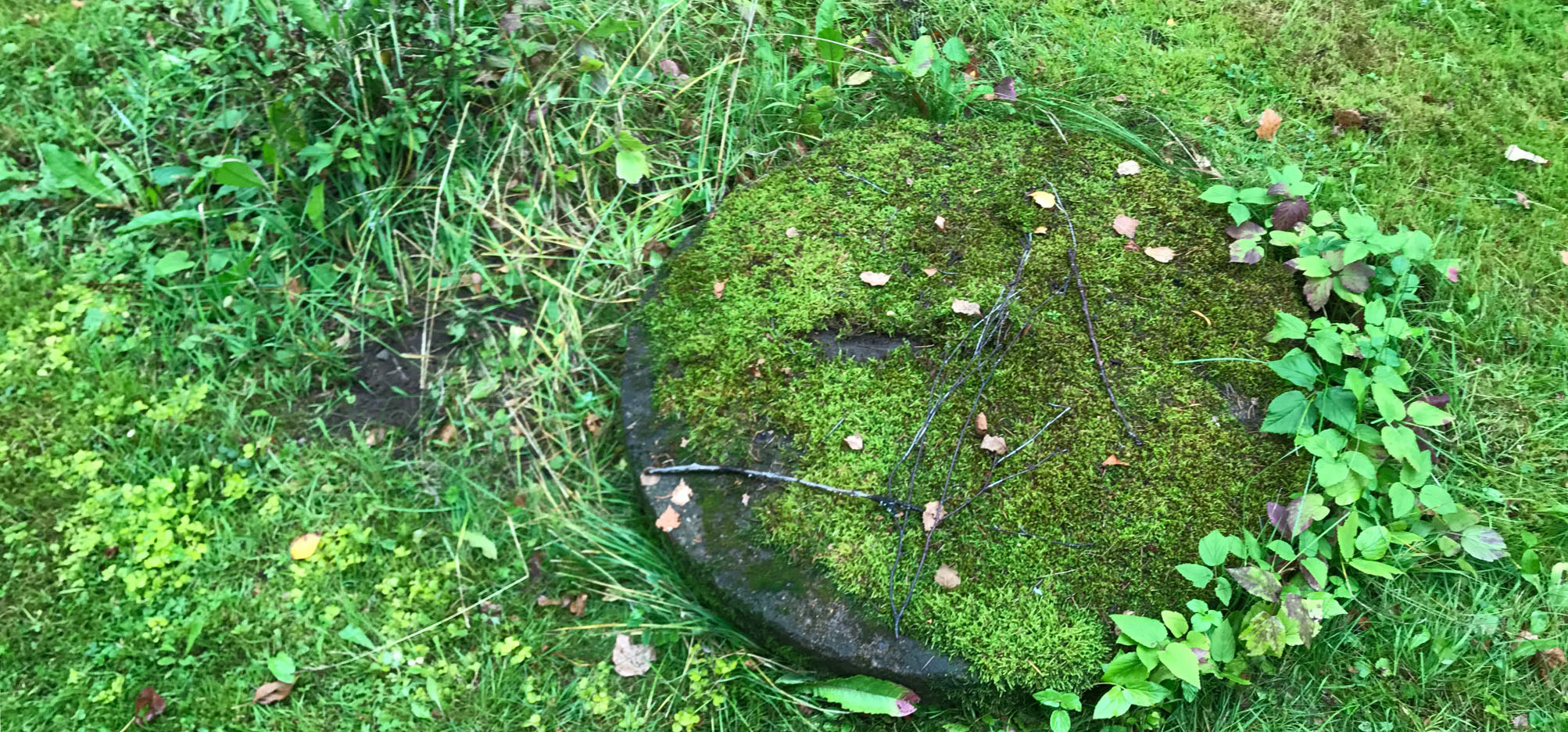 Bilden visar ett brunnslock som är övervuxet med mossa.