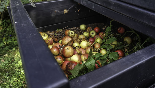 Bilden visar en kompostbehållare full av matavfall.