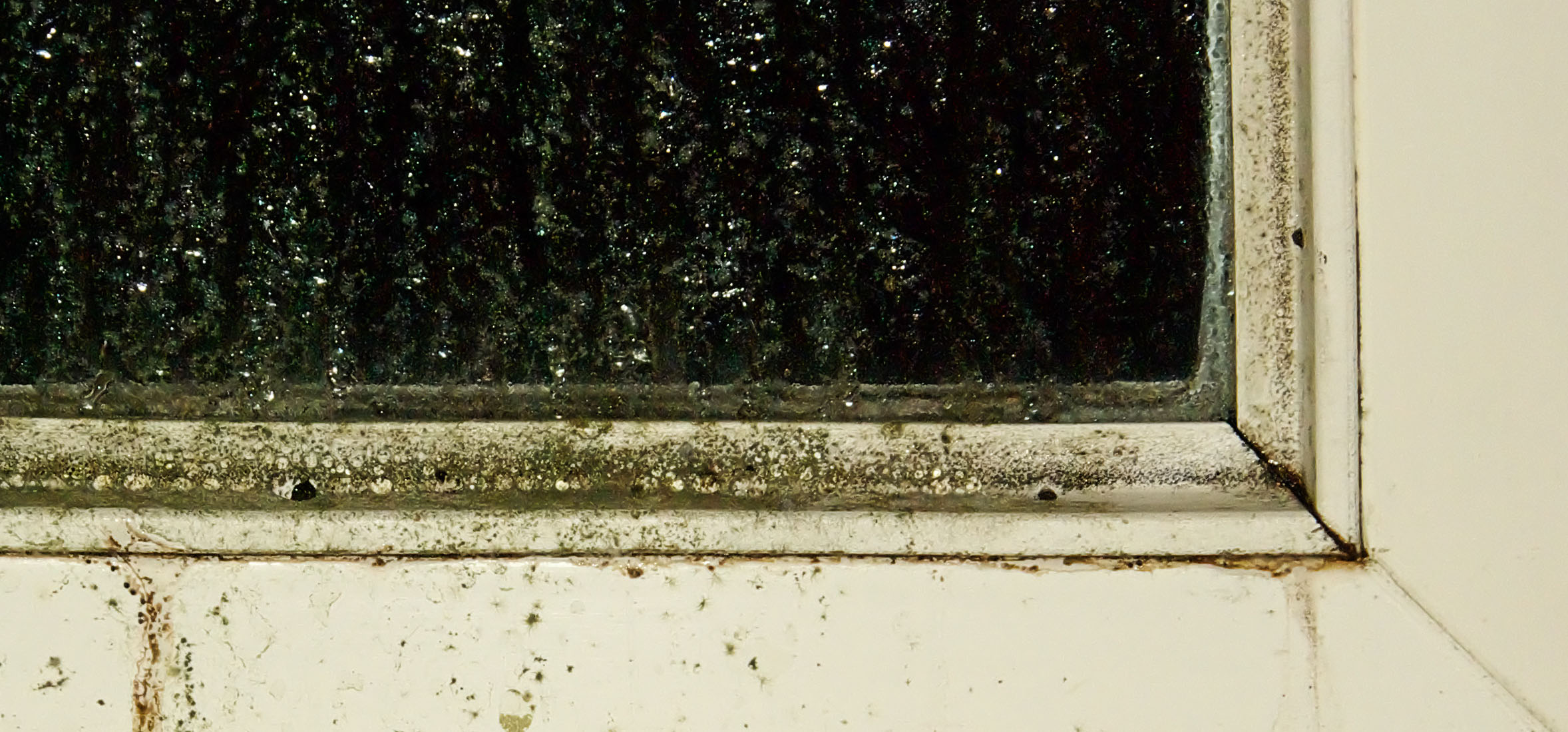 Bilden visar ett fönster med påverkan av mögel.