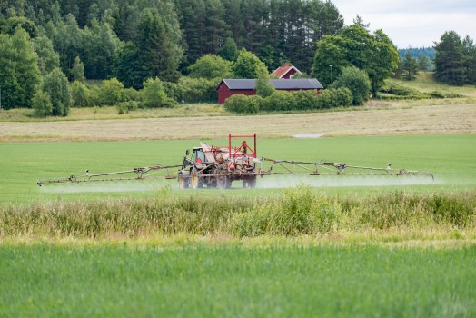 Traktor som besprutar fält