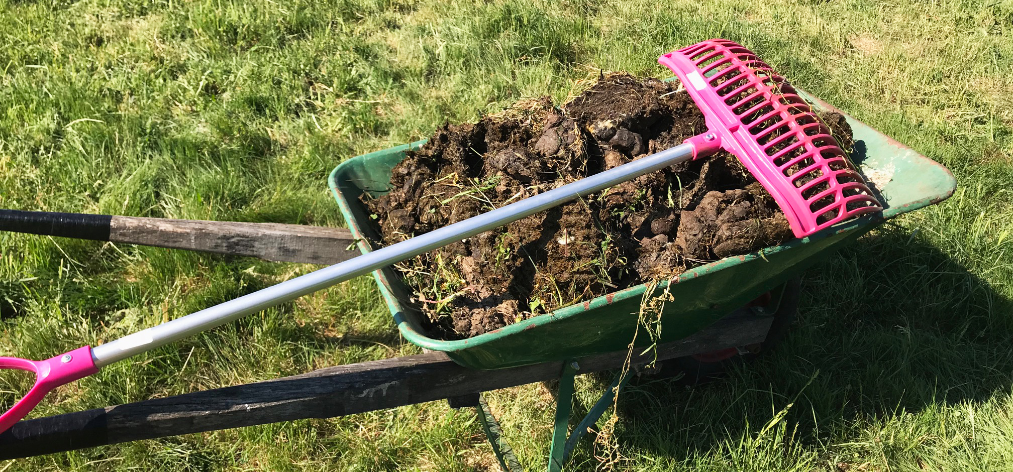 En skottkärra full med hästgödsel samt en grep.