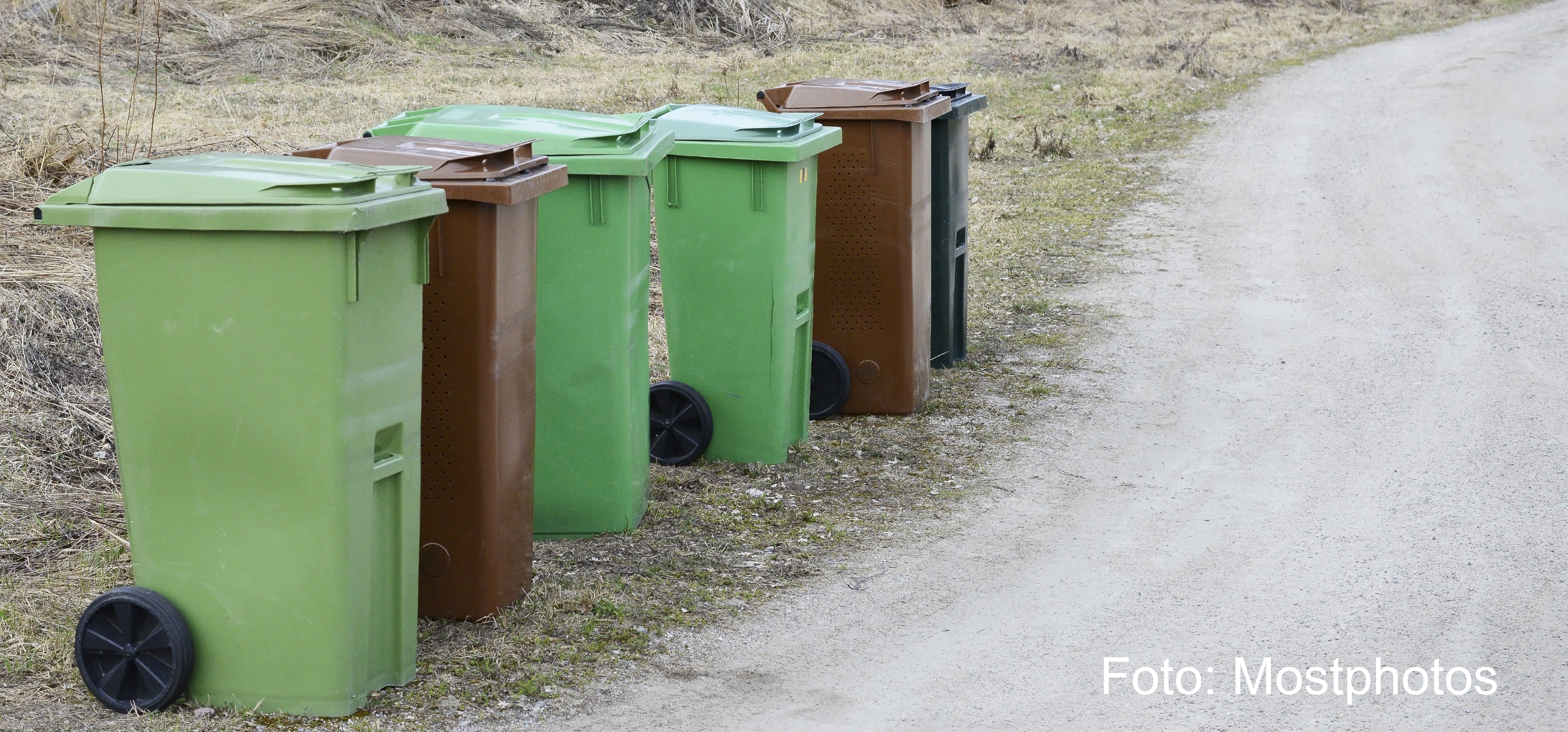 Bilden visar ett antal gröna och bruna soptunnor på rad.